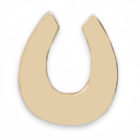 horse shoe earring