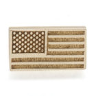 USA flag earring
