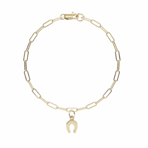 horseshoe bracelet
